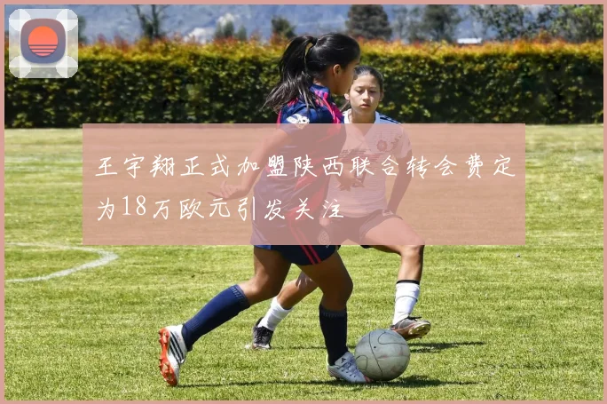 王宇翔正式加盟陕西联合转会费定为18万欧元引发关注