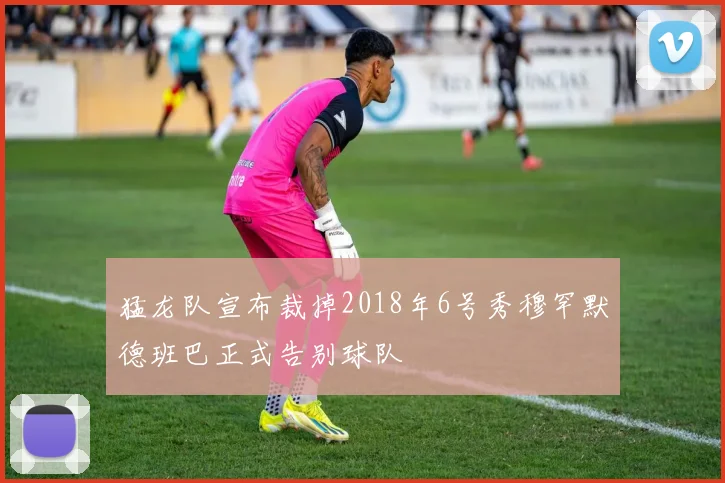 猛龙队宣布裁掉2018年6号秀穆罕默德班巴正式告别球队
