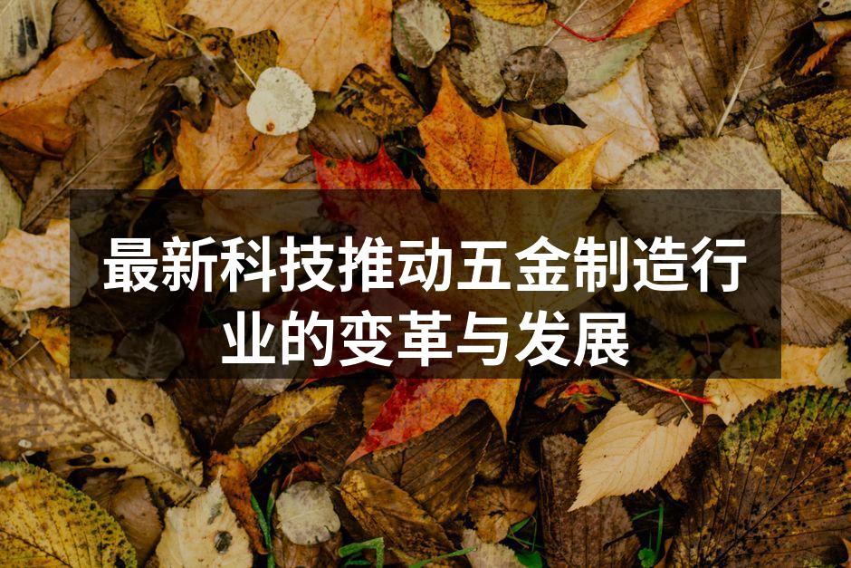 最新自动化生产线提升效率